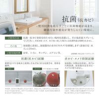 MSソリューションズ 消臭・除菌スプレー Botanisch(ボタニッシュ)300ml PL-DS01BT300 1本