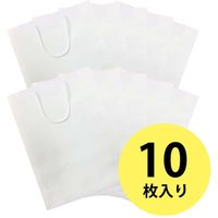 エヒメ紙工 賞状額縁用紙袋 A3サイズ W390×H510×D45mm 10枚パック SJP-A3 1セット(10枚入)