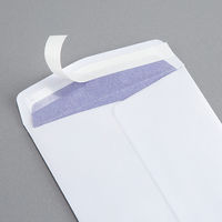 マルアイ 藤壺二重封筒枠なし エクセル フ-57N 1袋(10枚入)