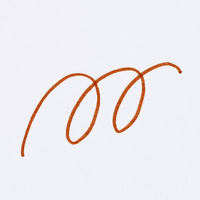 寺西化学工業 水性ペン　マジック　ラッションペンNo.３００　茶 M300-T6 1本