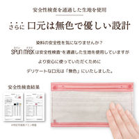 医食同源ドットコム SPUN MASK スパンレース　グレー40枚入 1箱（40枚入）