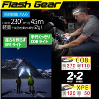 ヒロ・コーポレーション 充電式デュアルヘッドライト HDL-DHL01 1台