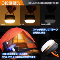 グリーンクロス LEDランタン 2個セット 6300025691 1台