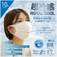 数量限定 マスク 訳あり 福袋 レディース カラー ウレタン 立体型 冷感 黒マスク 4層 3層 不織布 お得 使い捨て お試（直送品）