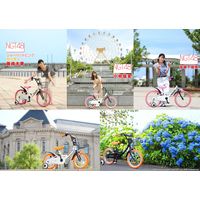 池商 子供用自転車16 GR-16-16-l-PP（直送品）