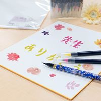 あかしや 色紙 奉書 2枚入 AO-25S-H 1セット（5パック）