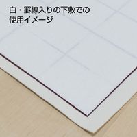あかしや 書道半紙 「黄梅」 50枚入 AO-53H 1セット(4パック)