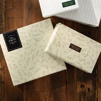 ヘッズ ベルプランツ包装紙-1 500枚(50枚×10) BEP-1W 1セット(500枚入)（直送品）