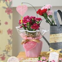 ヘッズ 母の日ワンタッチタッグ付ゴムリボン-6 100個(20個×5) MA-TGR6 1セット(100個入)（直送品）