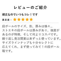 【A3規格】ダンボールケース 5mm厚 43.4×31.4×39.1[26.1・31.1]cm 【３辺合計113.9～100.9cm】10枚（直送品）