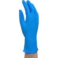 セーフラン安全用品 ニトリル使い捨て手袋粉無し Lサイズ マレーシア製 J2450-L 1箱(100枚入)