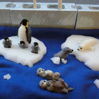 【アウトレット】ワタナベ工業 フェルトカーペット 2mm厚 182cm×30m 紺 MFS-202 1巻(30m)