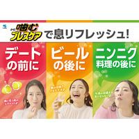 噛むブレスケア 息リフレッシュグミ 3つの味入り アソート ボトルタイプ お得な80粒 1セット（2個）小林製薬