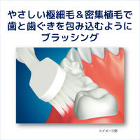 バトラー お口にやさしいブラシ やわらかめ 1セット（12本） サンスター BUTLER 歯ブラシ 幅広 ワイド 極細毛 ハブラシ はぶらし