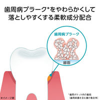 マウスウォッシュ ボトル システマEX デンタルリンス ノンアルコール 450mL 1セット（2本） 殺菌 歯周病予防 ライオン