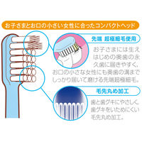 DENTALPRO（デンタルプロ） クレパス風ハブラシ ふつう 5本組 1セット（2個） デンタルプロ 歯ブラシ