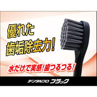 DENTALPRO（デンタルプロ） ブラック コンパクト かため 1セット（6本） デンタルプロ 歯ブラシ