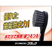 DENTALPRO（デンタルプロ） デンタルプロブラック コンパクト ふつう 1セット（3本） 歯ブラシ