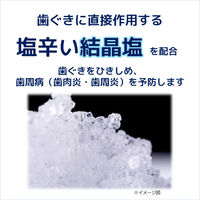 歯磨き粉 歯周病予防 薬用メディカ つぶつぶ塩 170g 1セット（4本）サンスター