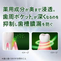 ディープクリーン 薬用ハミガキ 口臭ケア 100g 1セット（2本） 花王