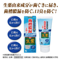 歯磨き粉 生葉 （しょうよう） 息スーッと実感タイプ 歯槽膿漏を防ぐ 薬用ハミガキ しつこい口臭に 100g 1セット（2本）小林製薬