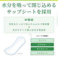 サラサーティコットン100 2倍吸収 おりものシート おりもの 水分 ちょっと多い人に 無香料 1セット（40枚×5個） 小林製薬