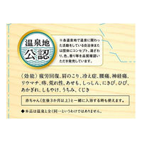 日本の名湯 至福の贅沢 1セット（30g 14包入×2箱） 人気温泉地公認 アース製薬