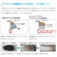 フロス 歯科医院取扱品 ルシェロ フロス ミント ワックス イエロー 30m 1セット（2個）ジーシー(GC)