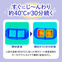 めぐりズム 蒸気でグッドナイト ラベンダーの香り 1セット（12枚入×2箱） 花王