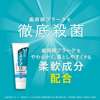 歯磨き粉 フッ素 携帯用サイズ システマ EXハミガキ メディカルクール 30g 1セット（2本）ライオン 携帯用 トラベル用 オフィス用