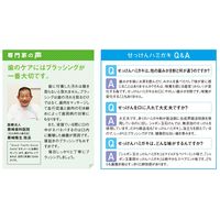 歯磨き粉 シャボン玉薬用せっけんハミガキ 80g 1セット（2本）シャボン玉石けん