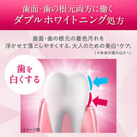 歯磨き粉 ホワイトニング システマ ハグキプラス プレミアムハミガキ シルキーフローラルミント 95g 1セット（2本）ライオン