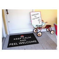 クリーンテックス・ジャパン wash+dry薄型で丈夫な洗える玄関マット Ke A024A 1枚