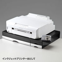 サンワサプライ　プリンタステーション　MR-PS2N　（直送品）