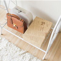 DelSol ダブルハンガーラック ホワイト　DS-HS3226N / WH　（直送品）