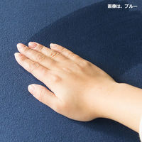 宮武製作所 リビング座布団・丸 レッド　（直送品）