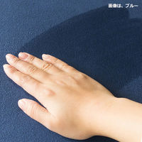 宮武製作所 リビング座布団・角 アイボリー CN-60R / IV 1台 幅450×奥行400×高さ150mm 低反発ウレタン 起毛