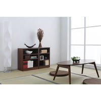 アイリスオーヤマ オープン本棚 スペースフィットラック 幅400×奥行290×高さ600mm ウォールナット S-SFR6040 カラーボックス 1台（直送品）