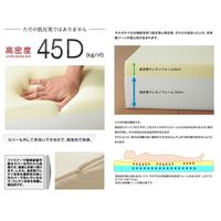 ファミリー･ライフ 170mm厚高反発マットレスS シングル ブラウン　（直送品）