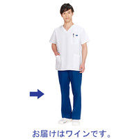 フォーク メンズストレートパンツ ワイン EL 5018SC-16 1枚　スクラブ（直送品）