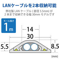 エレコム 床用エコモール ×5個セット LD-GAE1207/LG 1セット(5個入)（直送品）