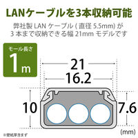 エレコム　フラットモール/壁紙織目/幅21.8mm/1.0m　LD-GAFW2/CL　1セット（5個入）