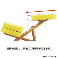 宮武製作所　クッション付きプロポーションチェア　キッズ　オレンジ　（オレンジ）　（直送品）