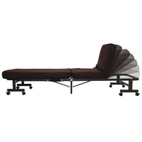 アイリスオーヤマ 折りたたみベッド 幅910×奥行2010×高さ345mm OTB-TRN 1台　（直送品）