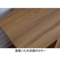 佐藤産業 フィズシェルフ 幅900×高さ1133mm ダークナチュラル FZ120-90DNA 1台　（直送品）