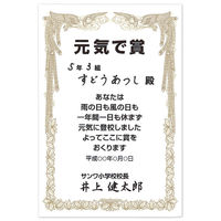 サンワサプライ インクジェット手作り賞状用紙(はがき・縦) JP-SHHKTN 1セット(3冊)