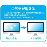 ナカバヤシ エキショウホゴフィルム GBLC14.0WIN SF-FLGBK140W 1個