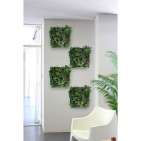 タカショー ウォールグリーン マーブルポトスミックス AS-F09 1個　（直送品）