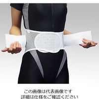アズワン 腰部固定帯[フィットライト] 8-1639-01 1セット(2個)（直送品）