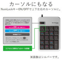 エレコム テンキーパッド　ＴＫーＴＣＭ011　Ｍサイズ　メンブレン　シルバー TK-TCM011SV 1個（直送品）
